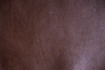 Fototapeta premium Genuine full grain cow leather texture