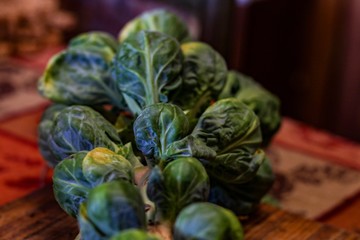 Top View of a Freshly harvested Brussel Sprouts stalk on a wooden board with a Thanksgiving themed tablecloth