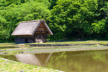 世界遺産　白川郷　初夏　自然　旅行　