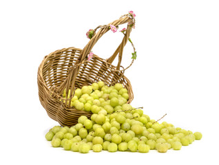 star gooseberry in wicker basket,isolated on white background,Phyllanthus acidus