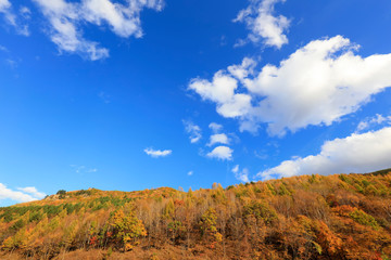 Fototapeta premium Mountain under blue sky