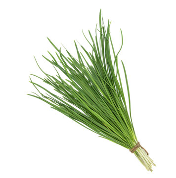 garlic chive isolated on white background,top view