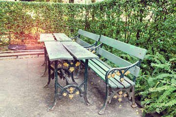 green wooden bench in the garden
