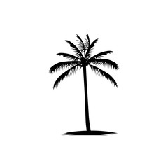 palm tree  vector  coconut  silhouette icon 