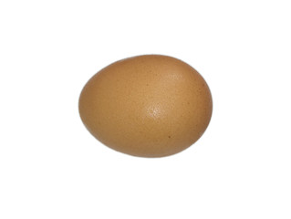 one egg background