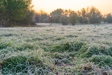 A park landscape in late autumn at sunrise and frost - 299867948