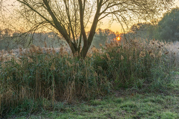 A park landscape in late autumn at sunrise and frost - 299867951