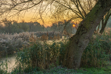 A park landscape in late autumn at sunrise and frost - 299867982