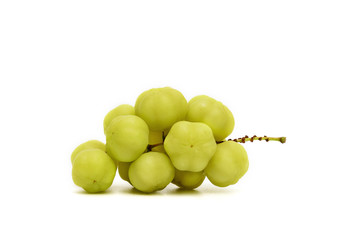 star gooseberry isolated on white background,Phyllanthus acidus