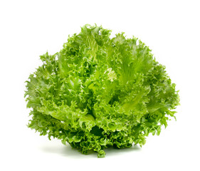 Obraz premium frillice iceberg isolated on white background