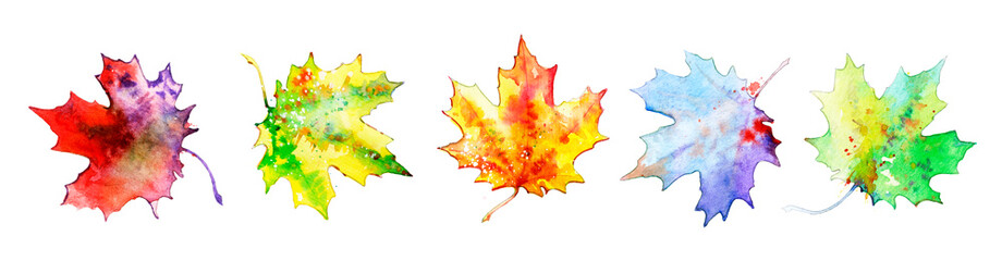 Collection of maple leaves. Beautiful maple leaves watercolor, set of plant elements for design and creativity. Leaves isolated on a white background. A set of bright maple leaves.