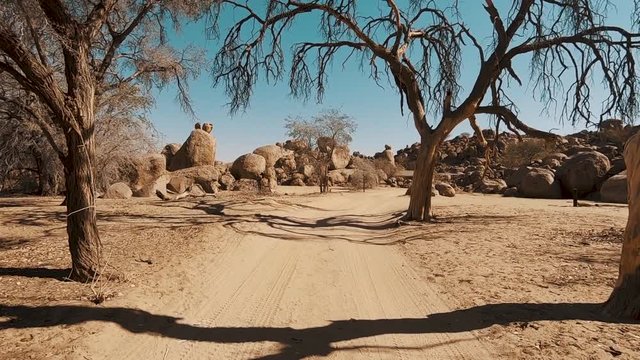 Gravel road in Namibia, Africa