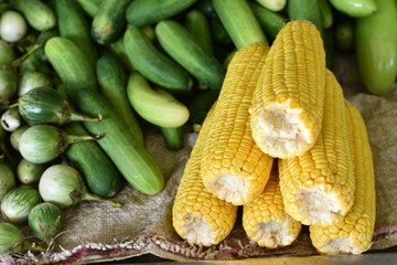 close up of yellow raw corn.vegetables in the market for sale