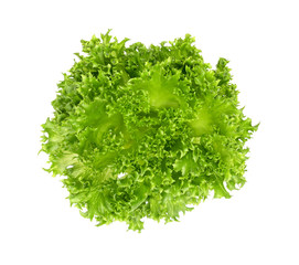 frillice iceberg isolated on white background