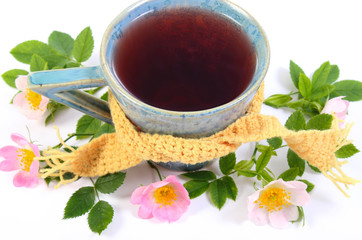 Cup of tea with wild rose flower on white background