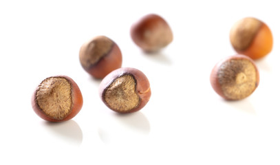 Hazelnuts nuts isolated on a white background