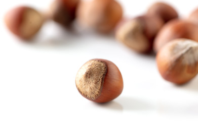 Hazelnuts nuts isolated on a white background
