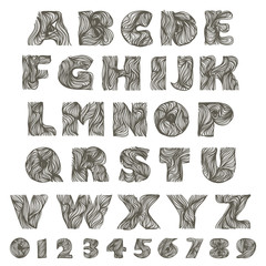 ABC handdrawn letters. Alphabet and numbers 