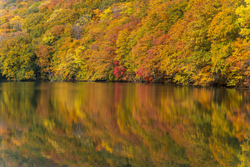 Reflection of Tsuta Numa, beautiful pond in Japan, Aomori prefecture