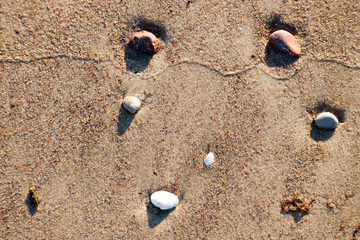 stones on the sandy beach after the wave subsided