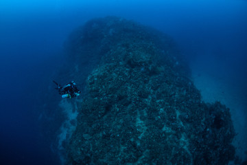 Obraz premium Tech diver