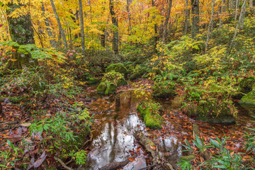 Towada Hachimantai National Park in autumn