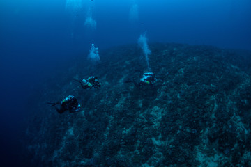 Fototapeta premium Tech diver