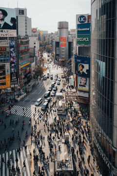 Tokyo Japan Shibuya Crossing Crosswalk