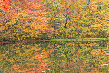 Towada Hachimantai National Park in autumn