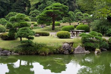 Fototapeta na wymiar japanese garden in summer