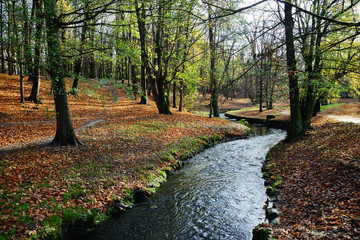 Park in autumn