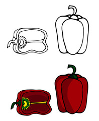 Hand drawn peppers, sliced peppers. for decoration in winter and autumn. Red pepper. Doodle vector illustration. Isolated over white background.