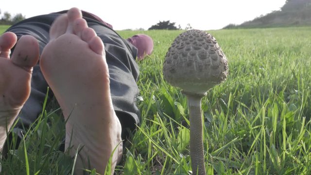 Trippy human next to a wild macrolepiota procera parasol mushroom on ground, closeup