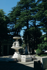 Obraz premium fountain in park Batumi