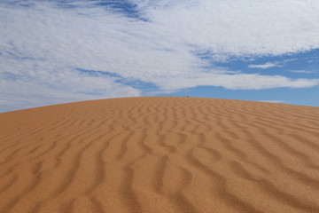 sand dunes in the desert