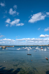 paysage de camargues