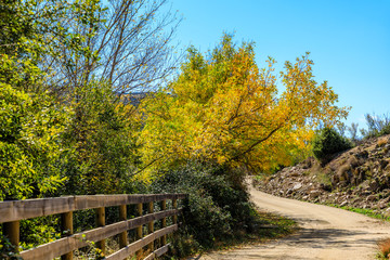 Naklejka premium First fall colors in the mountains of Madrid, Spain