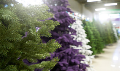 Sale of many artificial Christmas trees in green, purple and white at a decor store. The sale of a variety of artificial Christmas trees