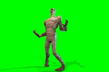 Fantasy character Mummy - 3D render, on green background