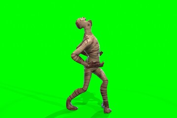 Fantasy character Mummy - 3D render, on green background