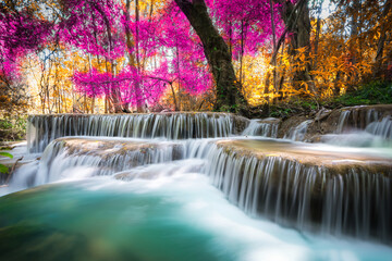 Amazing in nature, beautiful waterfall at colorful autumn forest in fall season