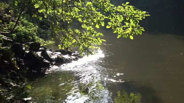 Sun rays in the water of a small river