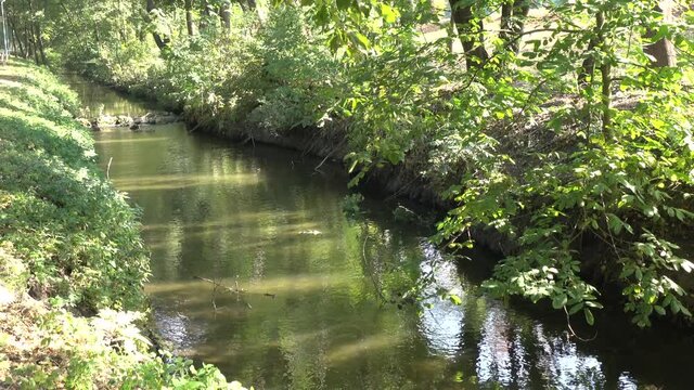 Calm stream of a small river