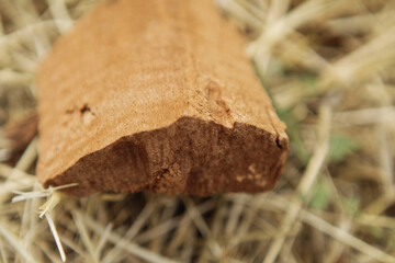 A piece of rotten tree, in a peat state