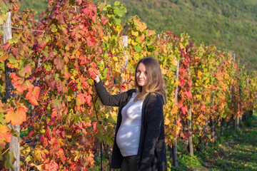 Portrait of pregnant woman standing in autumn vineyard