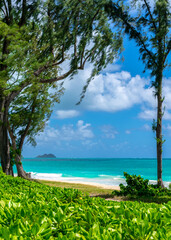 Waimanalo Beach Park in Oahu, Hawaii