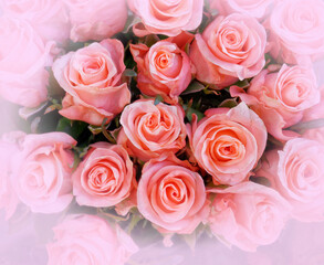 colorful pink roses bouquet top view, soft and airy natural background