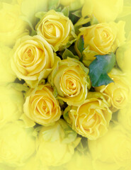 Obraz na płótnie Canvas colorful yellow roses bouquet top view, soft and airy natural background