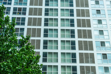 modern office building with green leaves.