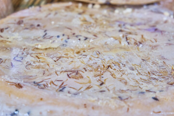 Casu Marzu, traditional sardinian cheese with worms